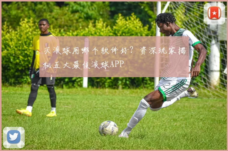 买滚球用哪个软件好？资深玩家揭秘五大最佳滚球APP